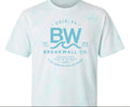 Break wall color splash t